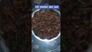 10 mins healthy लाल साग भाजी l Badhi Kosala Saga Bhaja | Red Amaranth Leaves Stir Fry l #ytshorts