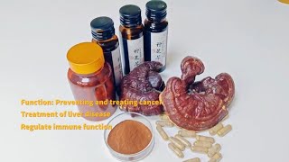 Reishi mushroom extract powder 灵芝提取物粉末