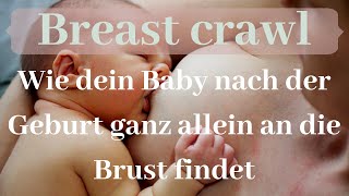 Breast crawl intuitives Stillen - wie dein Baby nach der Geburt ganz alleine an die Brust findet