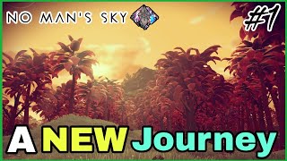 A NEW Journey BEGINS - No Man's Sky Endurance 2022 Gameplay