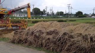 Combine at IRRI (1)