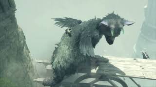 The Last Guardian™_20220318050742