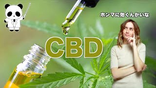 CBDは本当に効くのか？【視聴者のリアルな声】