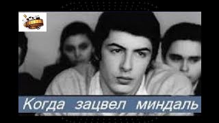 «Когда зацвёл миндаль» правдивая история 1973 როცა აყვავდა ნუში film