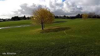 [4K] 오클랜드 걷기 여행 가을속 콘월 파크 둘레 걷기 여행 Walk Cornwall Park Epsom Auckland [뉴질랜드 브이로그]