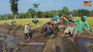 Lompat Pematang Tinggi Traktor Sawah Lanjut Garap Lahan