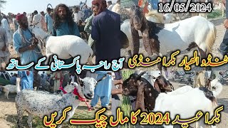 Tando Allhayar bakra mandi | Latset update today | Bakra Eid 2024 | Mandi updates | date 16/05/2024