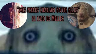 "mis perros charlan entre ellos" el caso de Andrés Miller | Mickey.Avi666