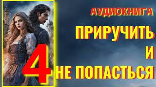 Аудиокнига ФЭНТЕЗИ: ПРИРУЧИТЬ И НЕ ПОПАСТЬСЯ 4