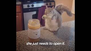 Rescue Squirrel Loves To Eat Veggies And Tuck Herself Into Bed