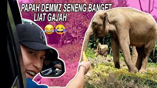 PAPAH DEMMZ DI TAMAN SAFARI !  SENEG BANGET LIAT GAJAH  🤣🤣#HEALING PAPAH DEEMZ# PART 5