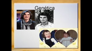 Genética