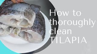 Comment Nettoyer le Tilipia | Tilapia sans odeur |ODORLESS tilapia | thoroughly clean your tilapia