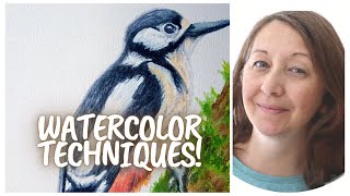 How to paint Birds | woodpecker in watercolours | Watercolour Techniques