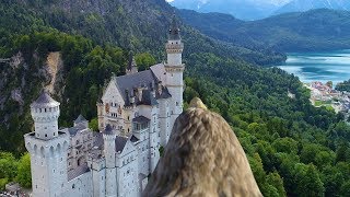 German Castle Eagle View 4K -  Schloss Neuschwanstein