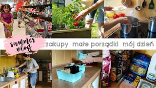 Daily vlog | Połowa wakacji a tam takie klimaty | Zakupy Lidl | Ogrodowe zbiory