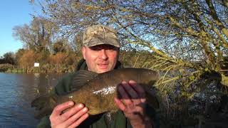 Last gasp Tench. Video 6.