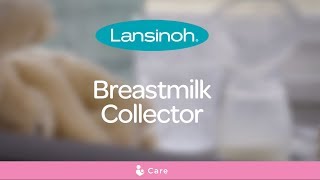 Lansinoh Breastmilk Collector silicone breast pump