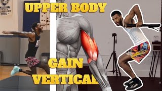 WHAT THEY DONT TELL YOU! Upper body HELPS you jump higher!