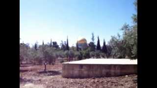 the Temple mount