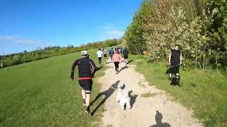 Lullingstone parkrun, #399 - April 20th 2024 (full)