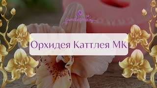 Форма силиконовая Орхидея Каттлея от САМОВАРОЧКА