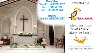 Online Rosary and Mass @St Charbel Church Ottawa - Friday April 4, 2020