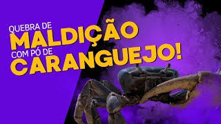 Quebre maldições com pó de caranguejo