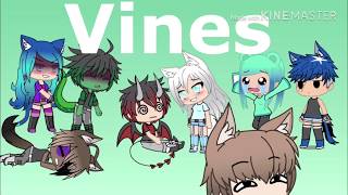 Vines|YAY