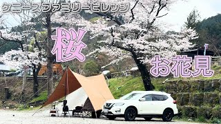 [ソロキャンプ女子]満開の桜の下でゆっくりと女子ソロキャンプでしたが、朝土砂降りに。ハプニングはあった⁈雨キャンプ#花見キャンプ