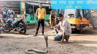 जब गांव मे गुस्सा झेरिला नाग सांप (cobra) 15kilometre की दूरी पर ।