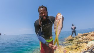 I Shot This Big No Good Yellowtail Snapper While Spearfishing #spearfishing