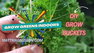 How To Make DIY Hydroponic Grow Buckets | The Best Way To Grow Greens Indoors | MattMagnusson.com