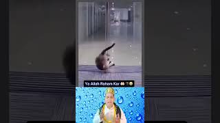 Ya Rasool Allah🕋🤲❤️ #islamicvideo #shorts #viral #video #trending 🤲🕋🥹🥹