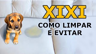 Dica pet : COMO LIMPAR XIXI DE CACHORRO e evitar que ele volte a fazer de novo no lugar errado