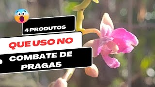 COMO COMBATER A TRIPES EM SUAS ORQUÍDEAS ( Dicas de como limpar as orquídeas)