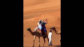 Camel 🐫 riding #music #habibi #newsong #remix #song #travel #short #shorts #youtubeshorts #camel