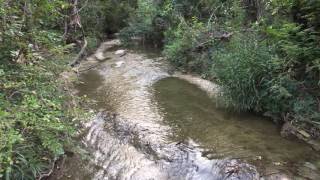 Water flowing in a creek (camera pan) - HD - Free download