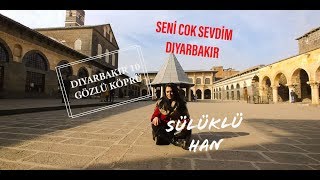 DİYARBAKIR YOLUNA HEY HEY - SÜLÜKLÜ HAN - HASAN KEYF'E SON SELAM - Turkey Trip -  터키 여행