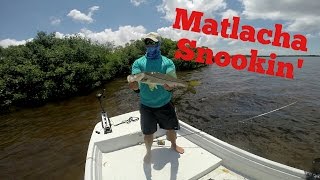 Matlacha Snook Fishing