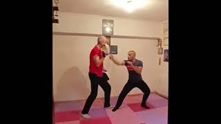 JEET KUNE DO TRAINING JUN FAN JKD