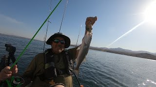 Native Titan 12, Echo Bay Nevada. Intro and outro didn't have sound on new hero 12. Several fish!