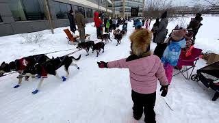 Iditarod 2020 - Anchorage Ak - Ceremonial Start - Greeting Mushers by ANMC