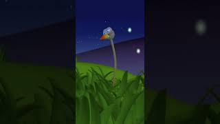 Jungle Lights | Gazoon | Funny Animals For Kids #shortsfeed #gazoon #funnyanimals