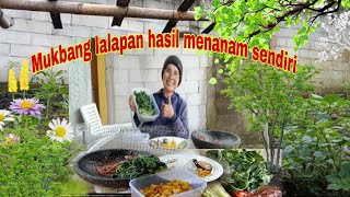 Mukbang Lalapan Hasil Menanam Sendiri