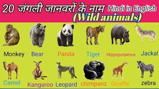 20 animals name |20 जंगली जानवरों के नाम||