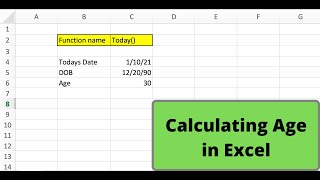 How to calculate age in Excel using today() function