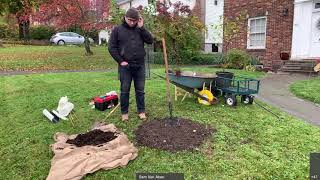 Open Orchard School: Planting a Fruit Tree