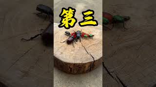 Those who have watched this drama are probably 30 years old. Iron Armor Little Treasure, Beetle,