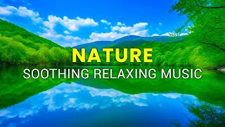 Soothing Relaxing Music and Nature- Relaxing Music for Stress Relief and Healing